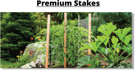 Premium Stakes